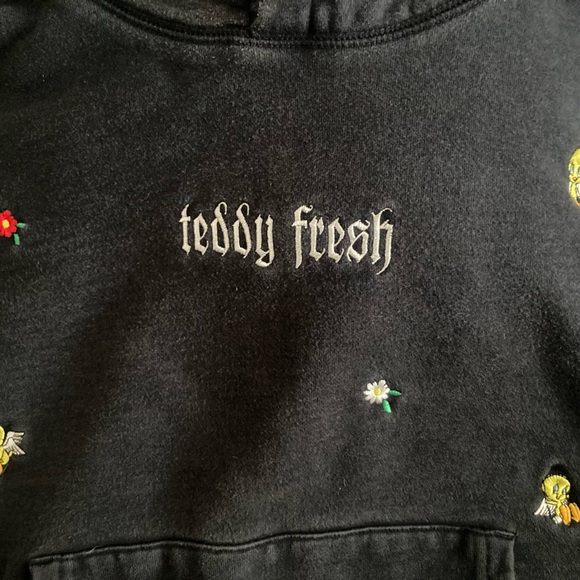 Teddy Fresh x Looney Tunes Collection Hoodie - Picture 4 of 5